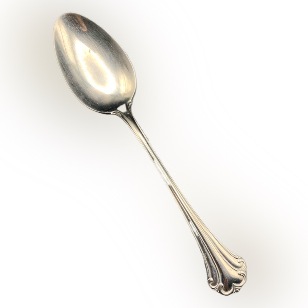 Vintage Reed & Barton Regine Stainless 18/8 Glossy Spoon Silverware Korea